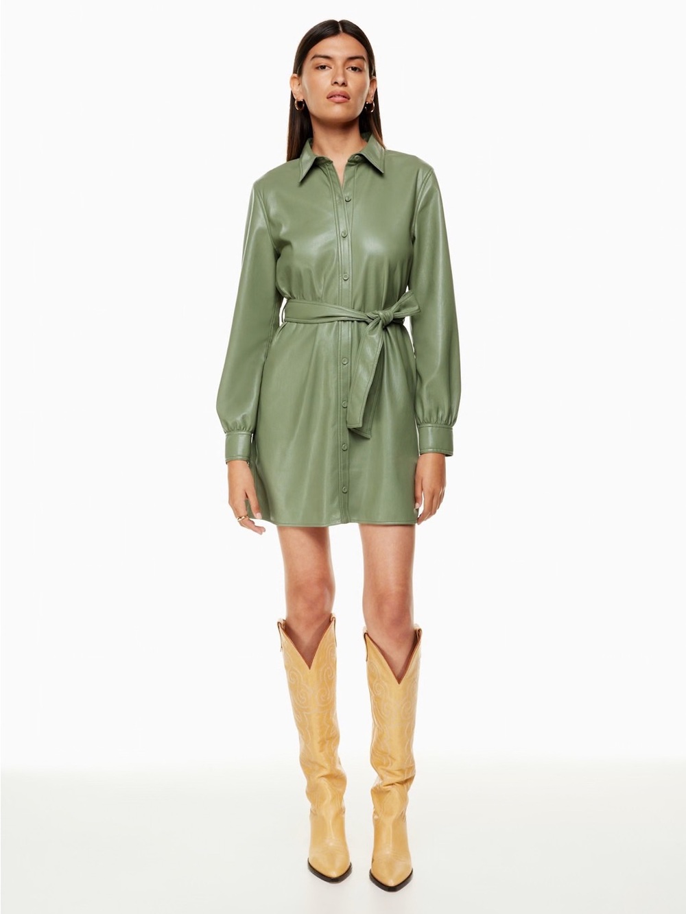 ARITZIA Wilfred Caroline Dress in Bitter Sage Size L